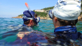 Mitsubishi Electric e Anffas per il progetto Swimtrekking AUT