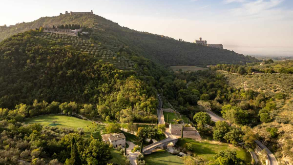 Bosco di San Francesco di Assisi