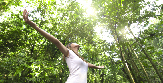 Protect the air, land, and water with our hearts and technologies to sustain a batter future fo all: Mitsubishi Electric unveils its group’s environmental sustainability vision 2050