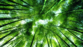 Mitsubishi Electric achieves the main objectives of its environmental sustainability Vision 2021